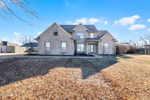 241 Stone Ridge Cove Medina TN 38355
