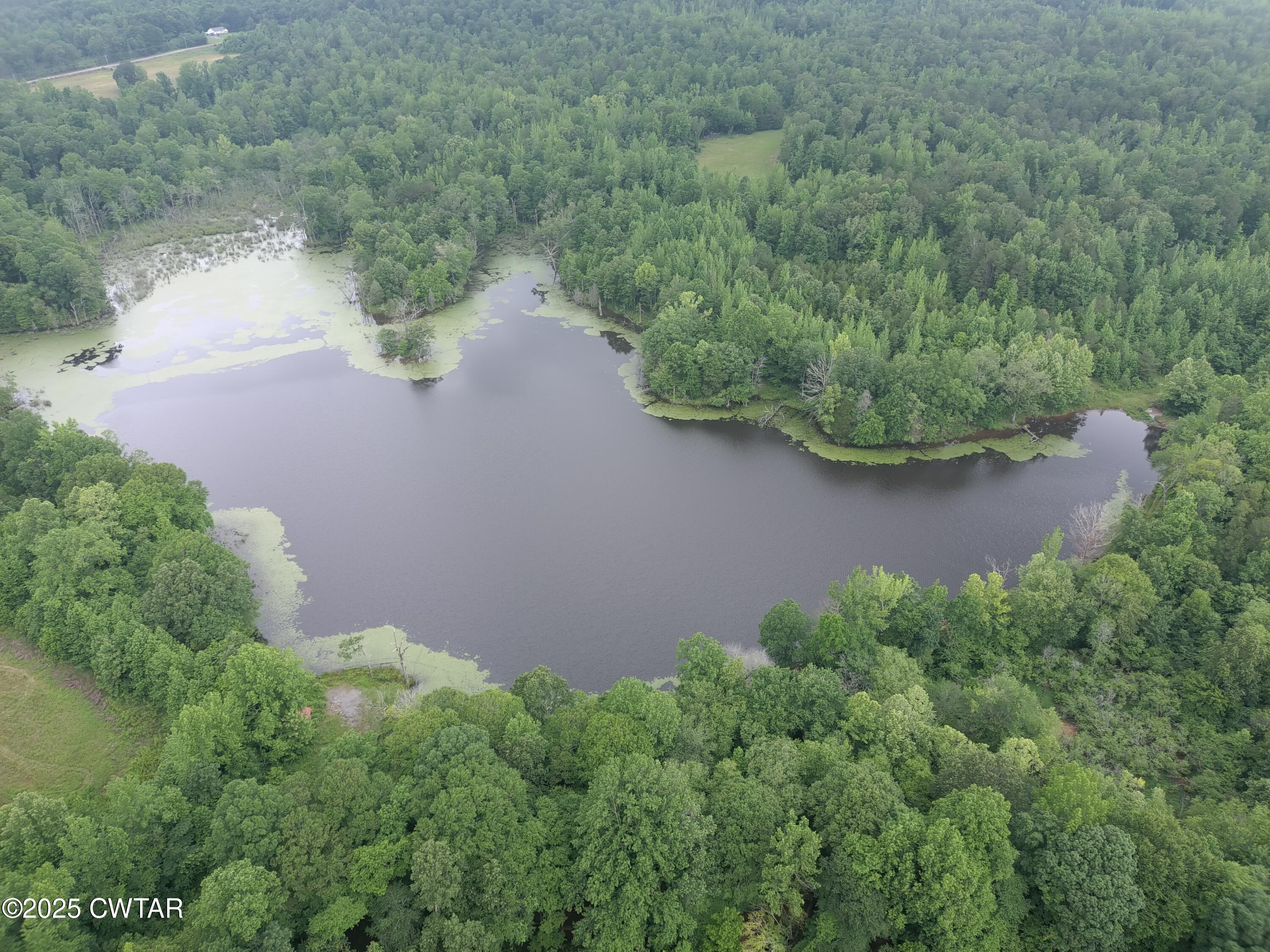 00 Bear Creek (Lot 2) Road