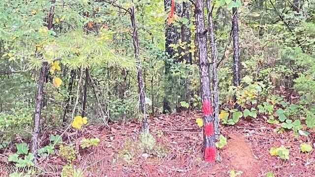 00 Medon Malesus Road