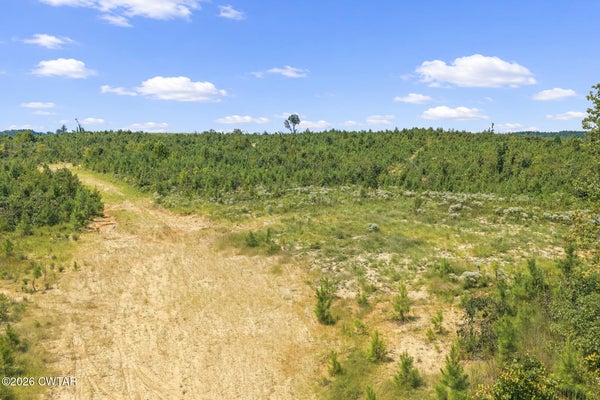 ROCKPORT MCILLWAIN RD, HOLLADAY, TN 38341 - Image 29f7e3f19491fea44dc81cef8e5eecaf/48653756
