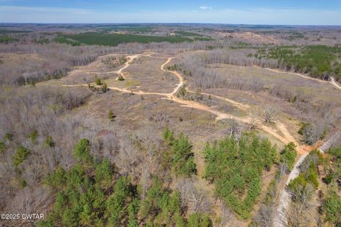 0 Vista Lane Bethel Springs TN 38315