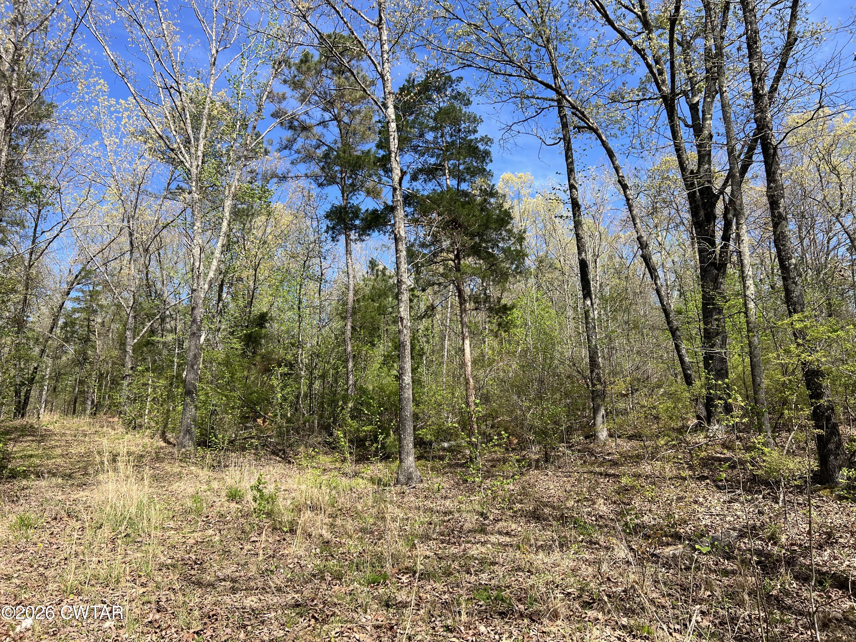 942 Excalibur Trail (Lot 101) Trail