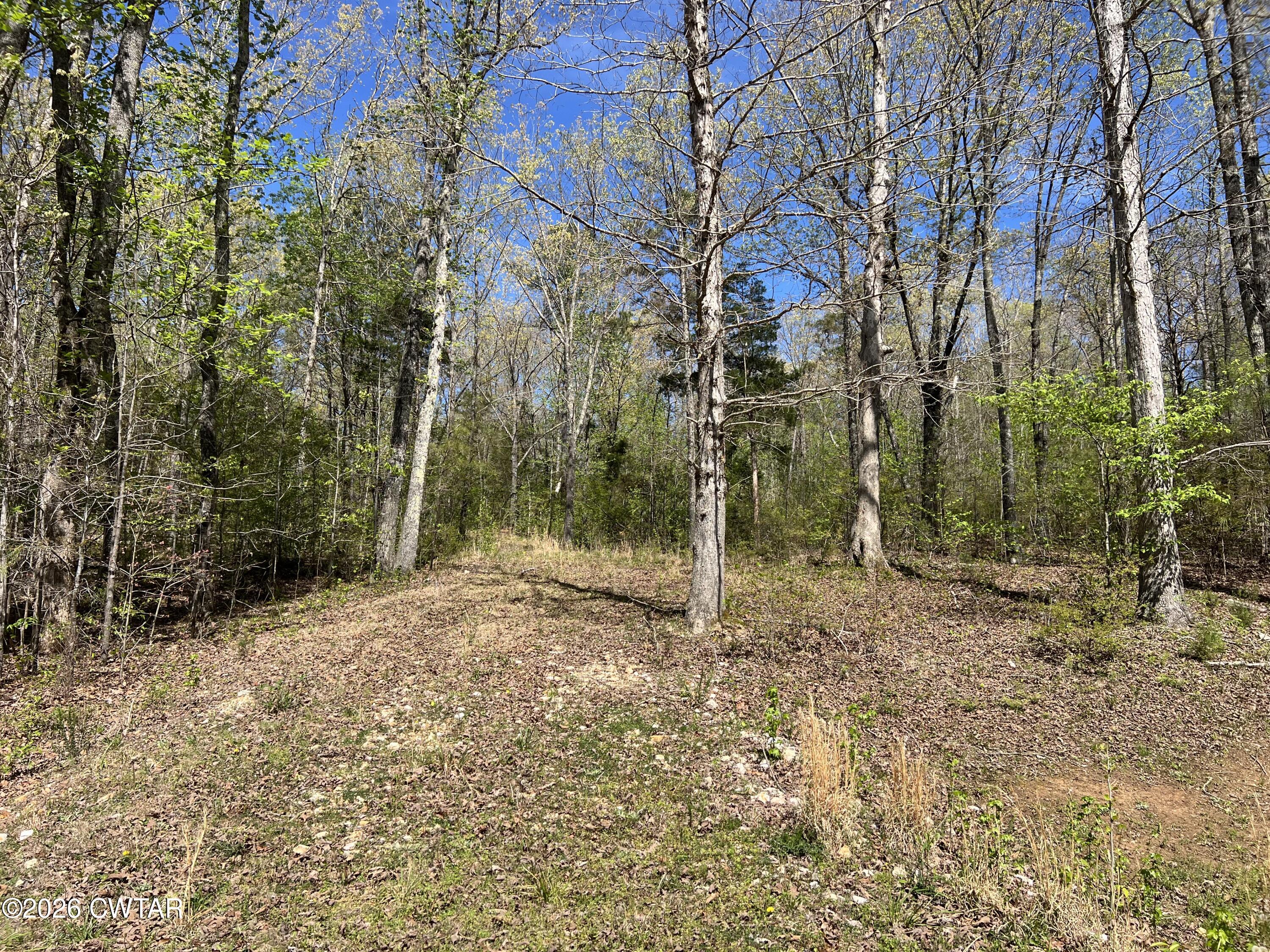 942 Excalibur Trail (Lot 101) Trail