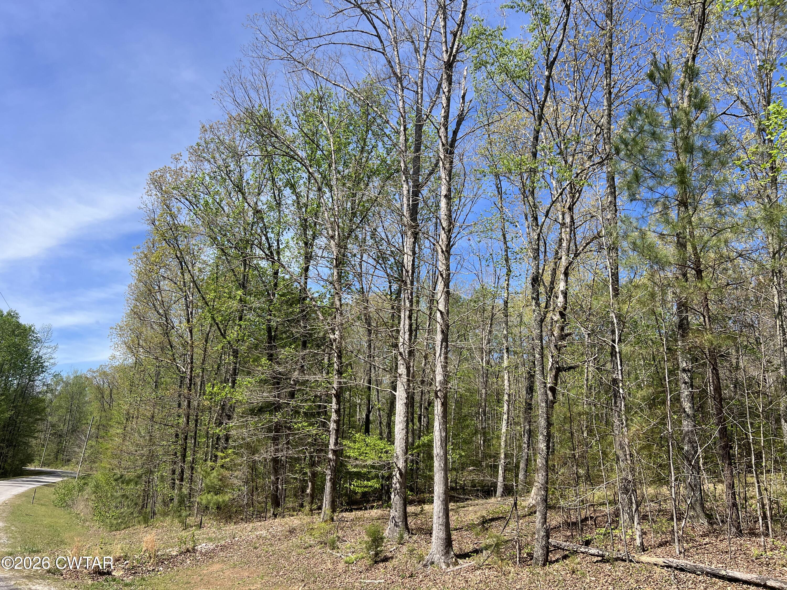 942 Excalibur Trail (Lot 101) Trail