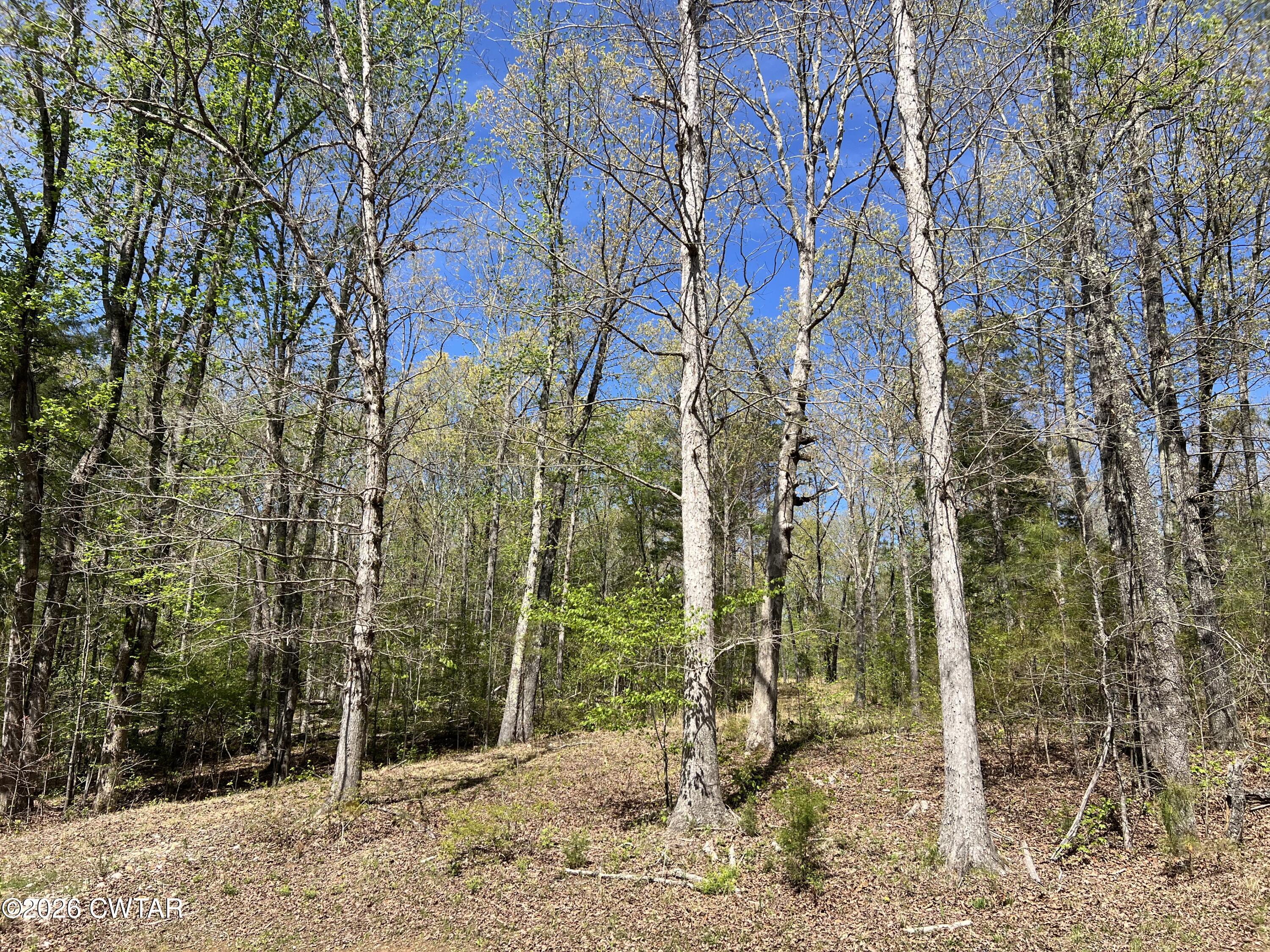 942 Excalibur Trail (Lot 101) Trail