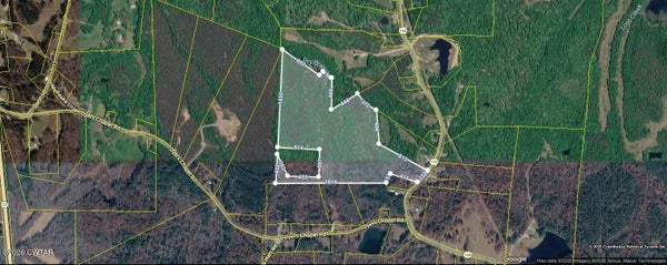 W CHURCH ST, LEXINGTON, TN 38351 - Image 2f0d1d97d4ae2c97fe92fffa0c9527e8/2561332990