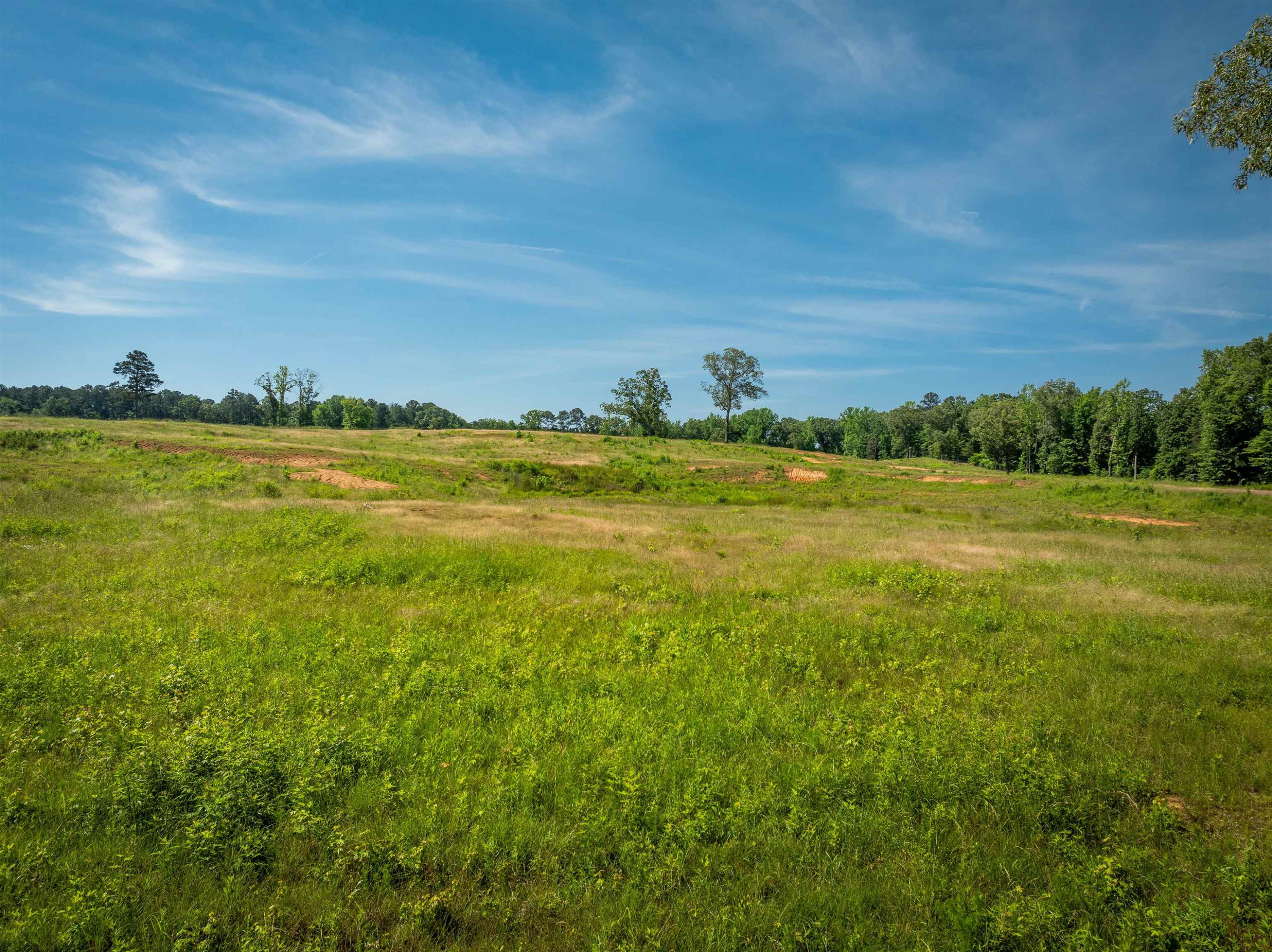 3843 Timberlake Wildersville Rd