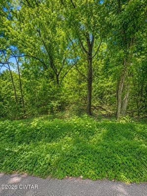 2 RV DR, LEXINGTON, TN 38351 - Image 3c19b90f46d2de42d7c6b896dcc428e9/3433861485