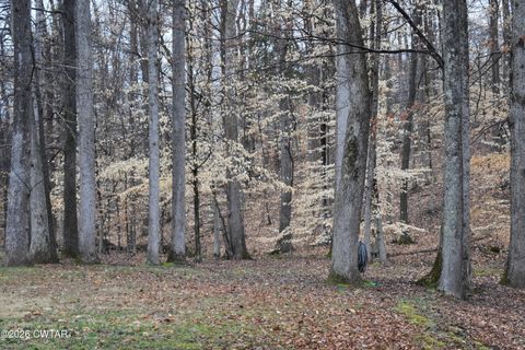 148 Bridlepath Drive Jackson TN 38305