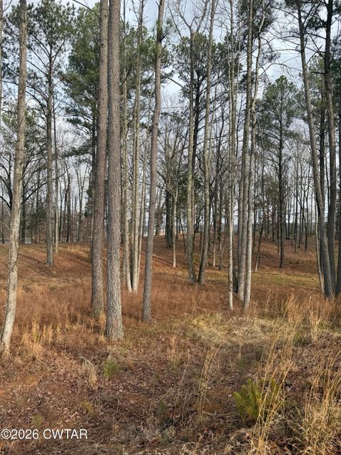Lot 15 Stately Oak Dr Huntingdon TN 38344