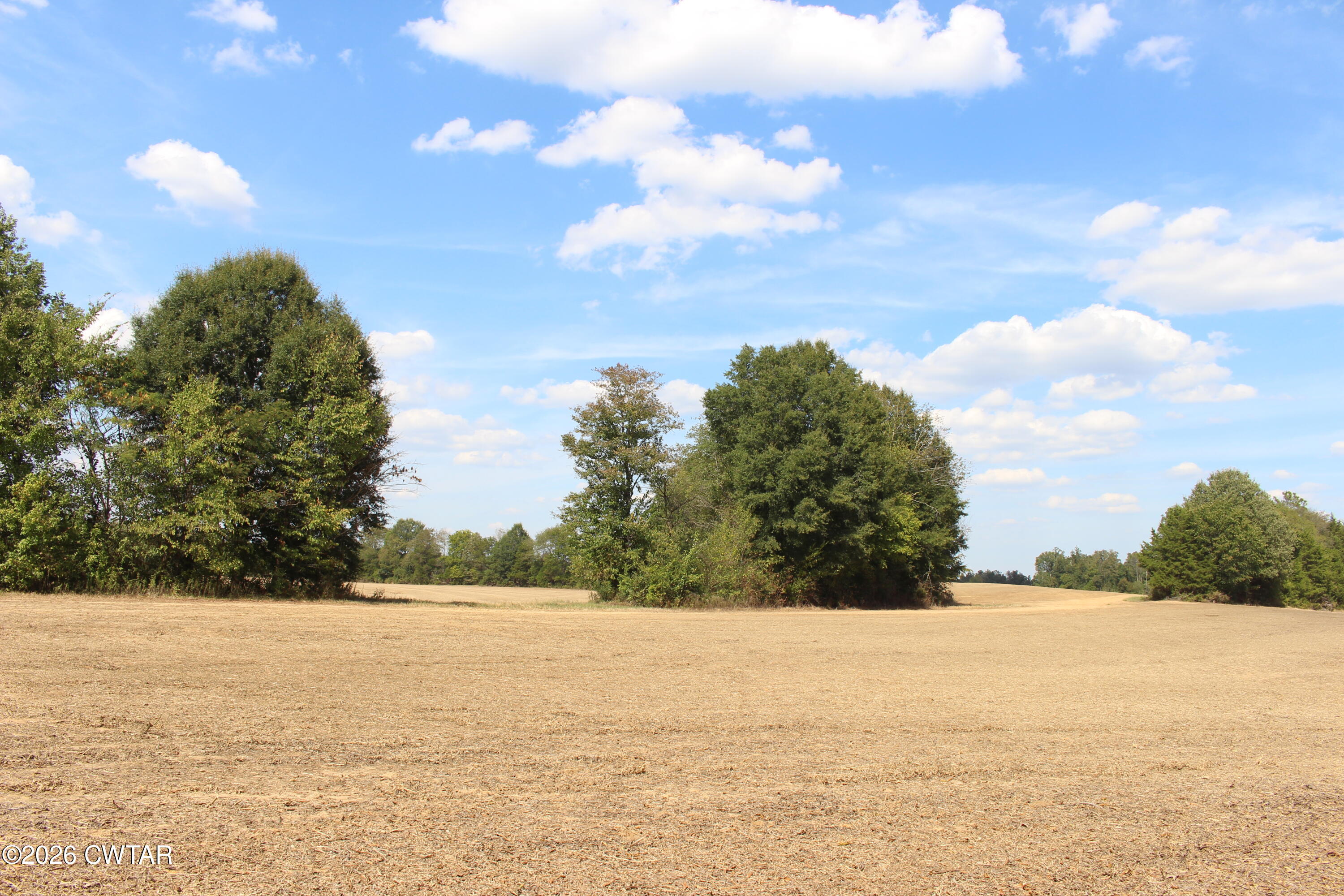 Tract 2 Cotton Grove Road