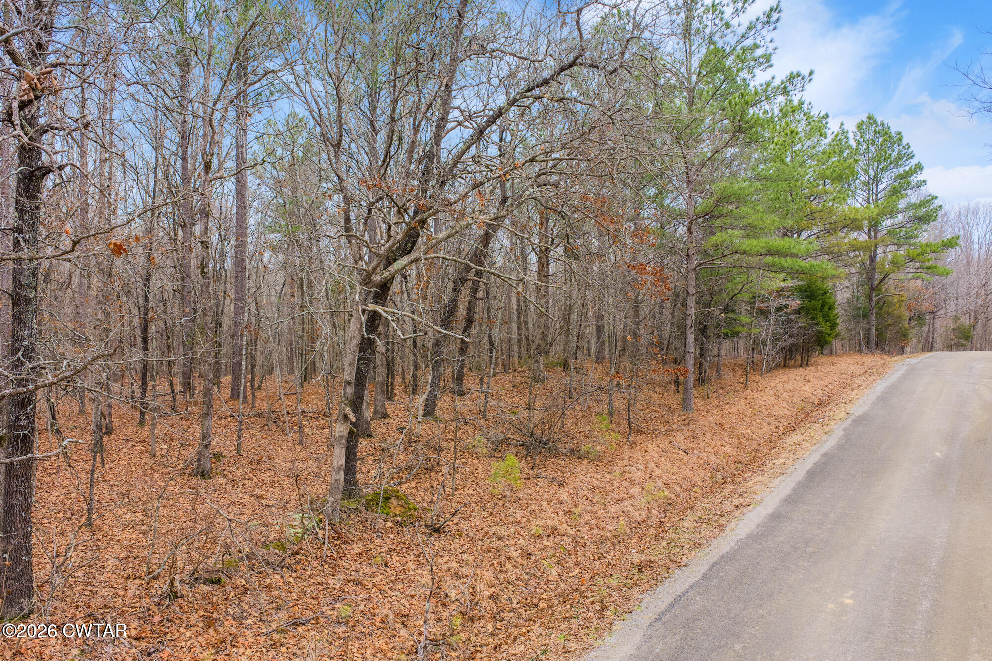 0 Coxburg Rd S Lot 17