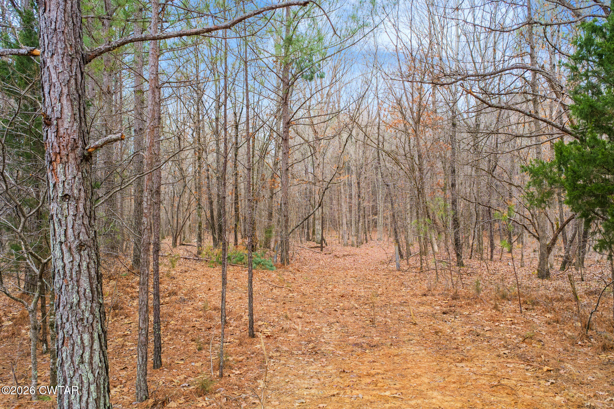 0 Coxburg Rd S Lot 17