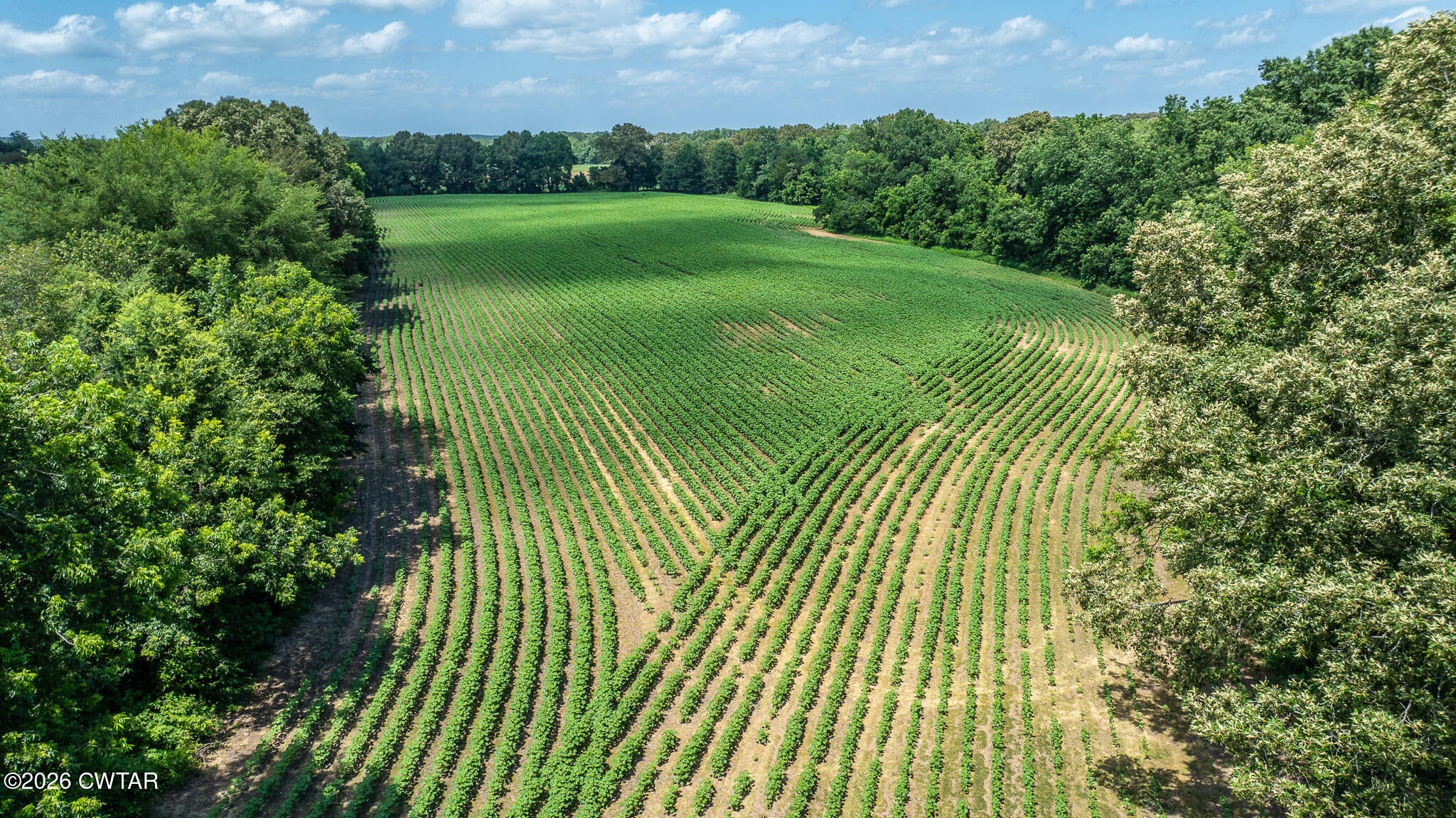 325 Harts Mill Road