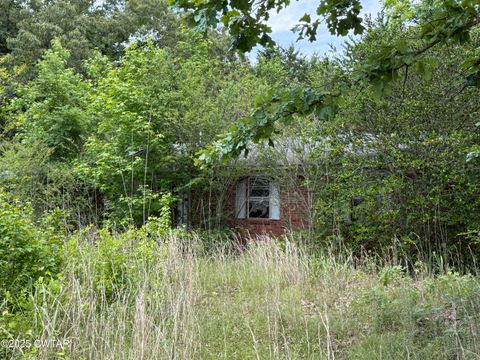 1427 Britton Lane Denmark TN 38391