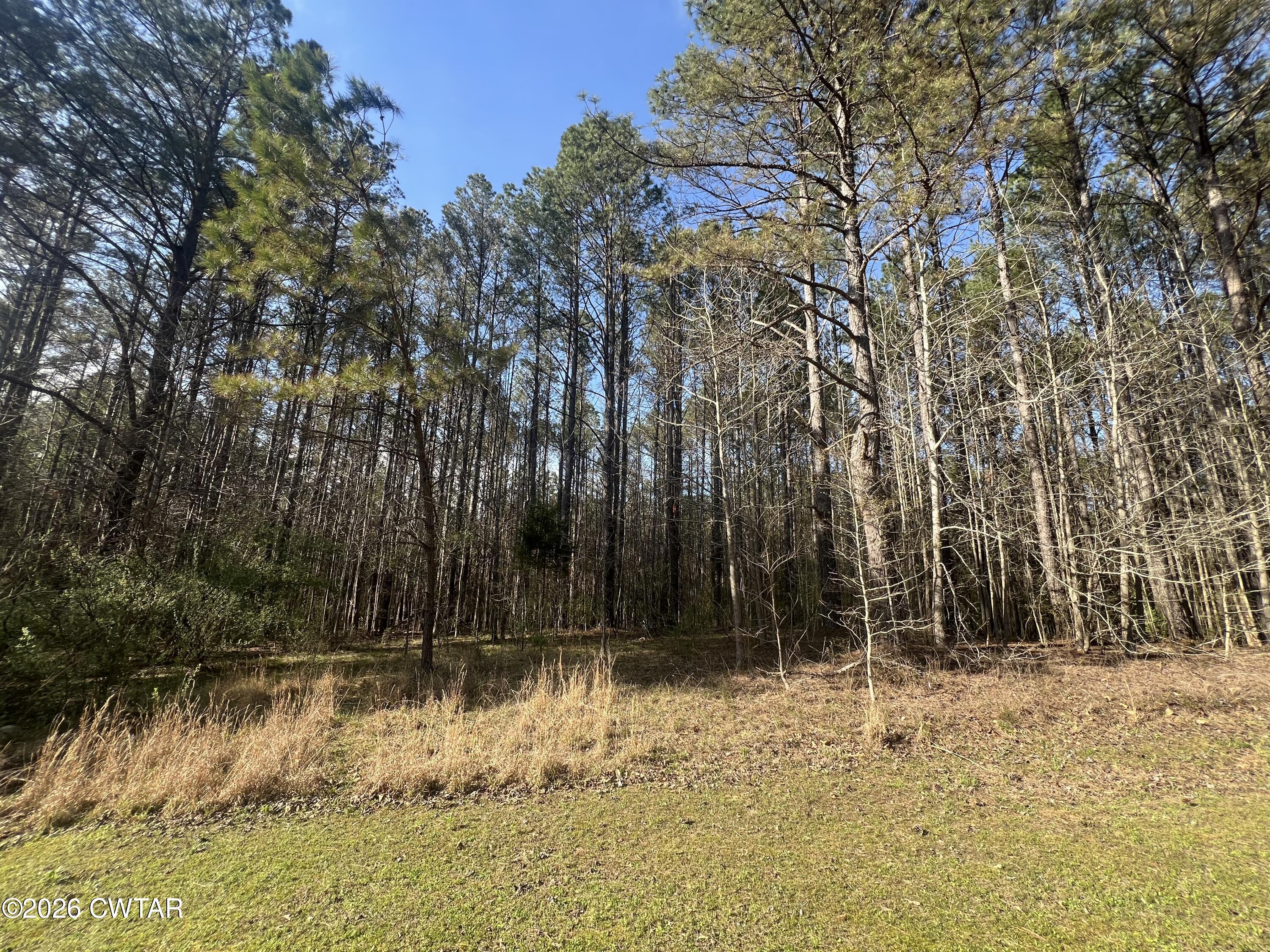 116 Zara Spook Dr Lot 139