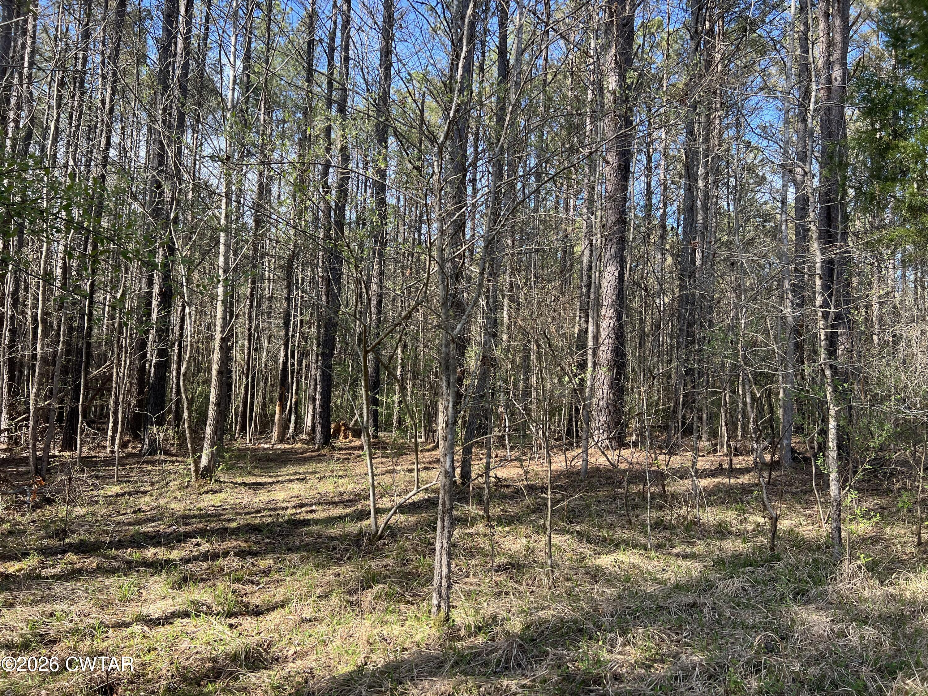 116 Zara Spook Dr Lot 139