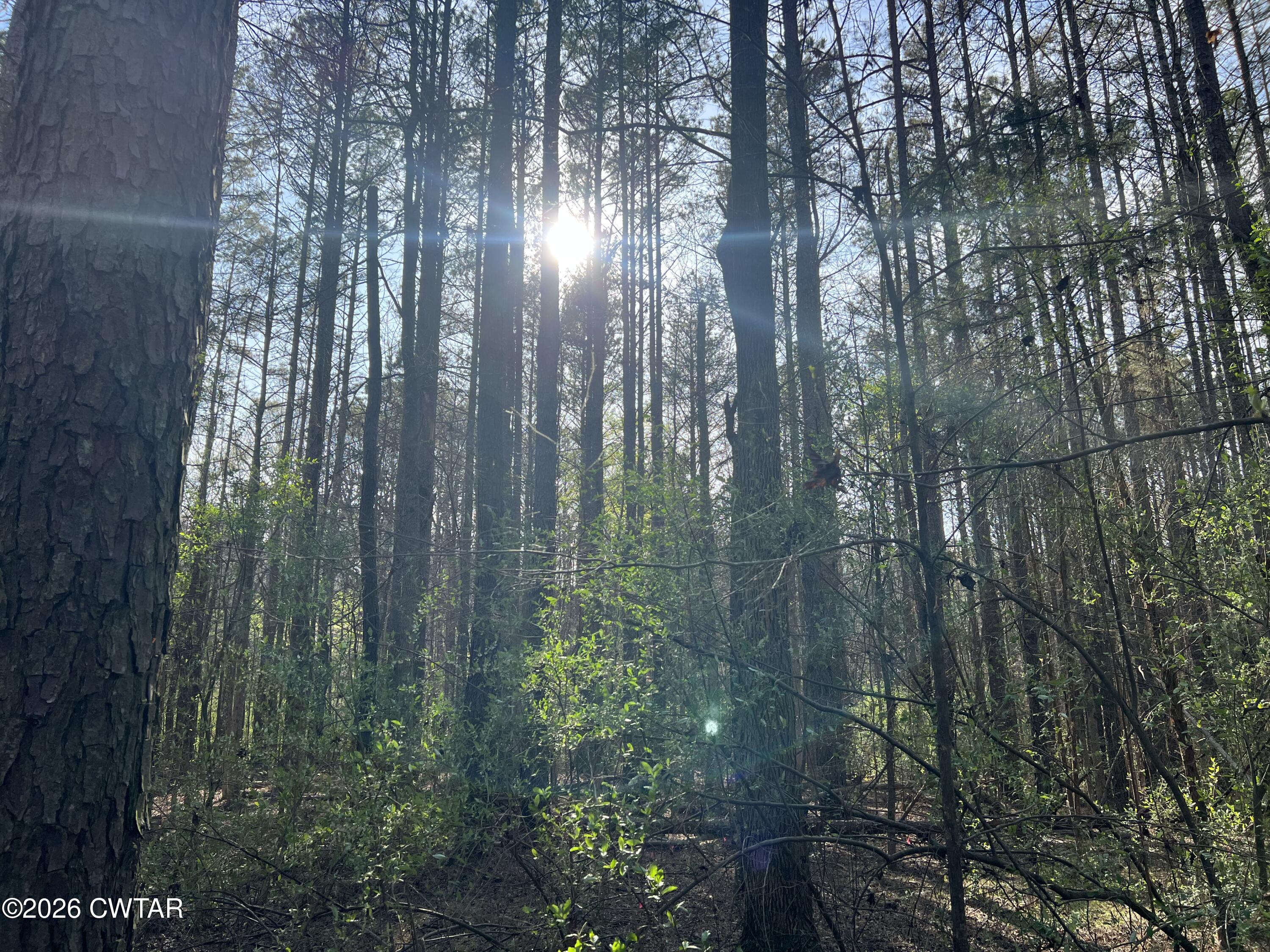 116 Zara Spook Dr Lot 139