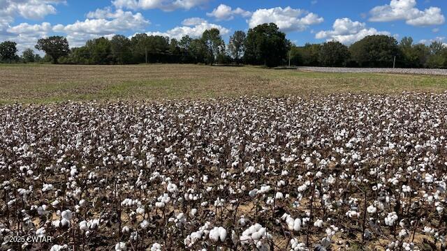 00 Christmasville Road