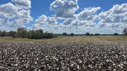 00 Christmasville Road Medina TN 38355