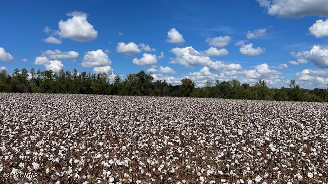 00 Christmasville Road