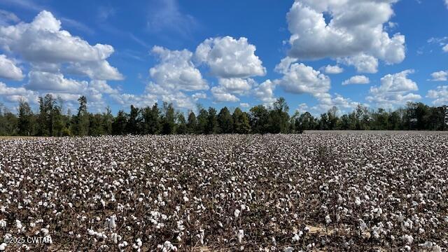 00 Christmasville Road