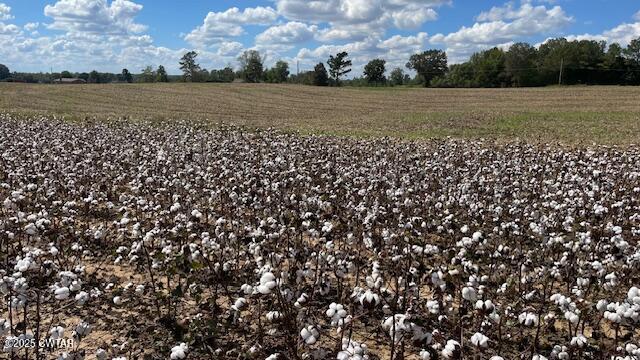 00 Christmasville Road