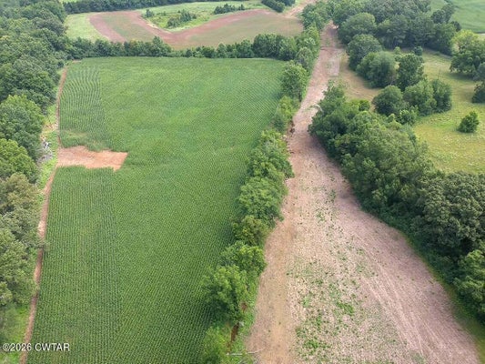 45 HWY 100, REAGAN, TN 38368 - Image 5a90597ec4c42e0c8b1cbdf60e08a685/916611655