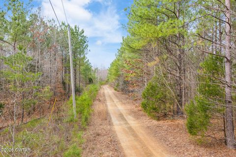 Lot 9 Kehrer Lane Huntingdon TN 38344