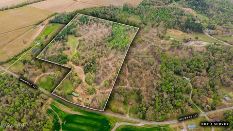 7050 Highway 423 McKenzie TN 38201