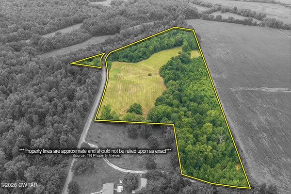 LINDSEY RD, PARSONS, TN 38363 - Image 7eb0810e892f2e120e963dc2a78e6ebe/146931432
