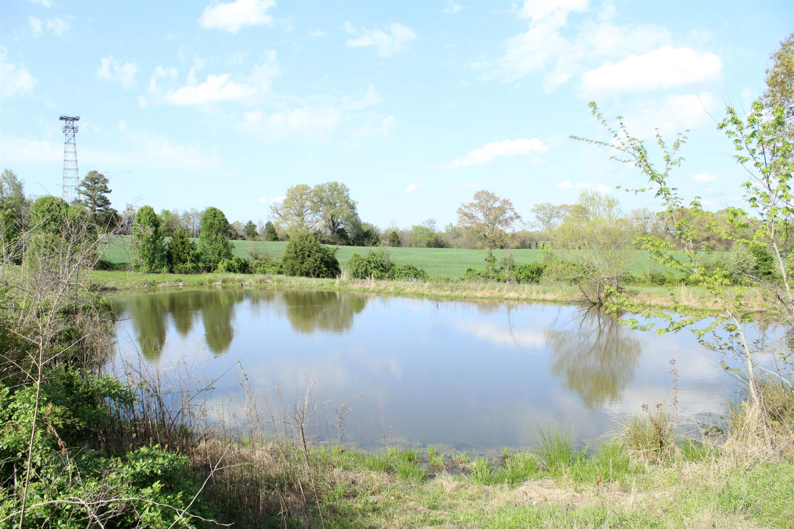 195 Old Jackson Road