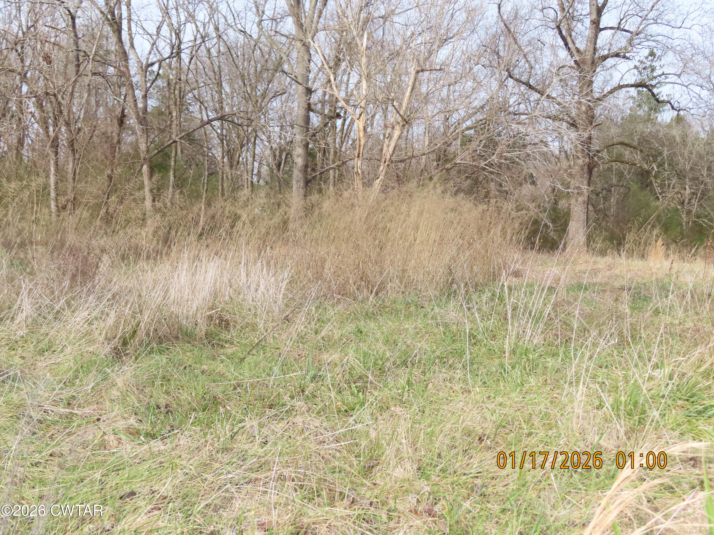 172 E College Street