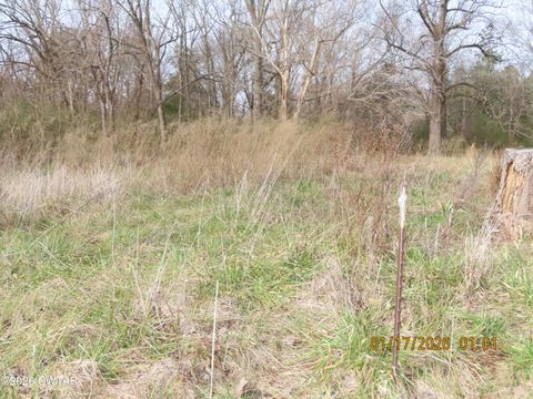 172 E College Street Saulsbury TN 38067