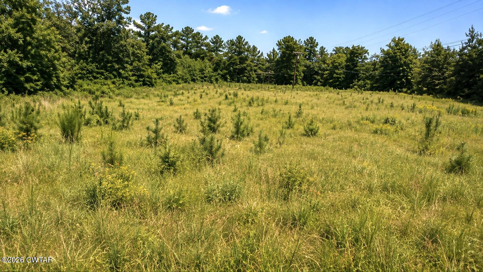 0 Old Stage Road