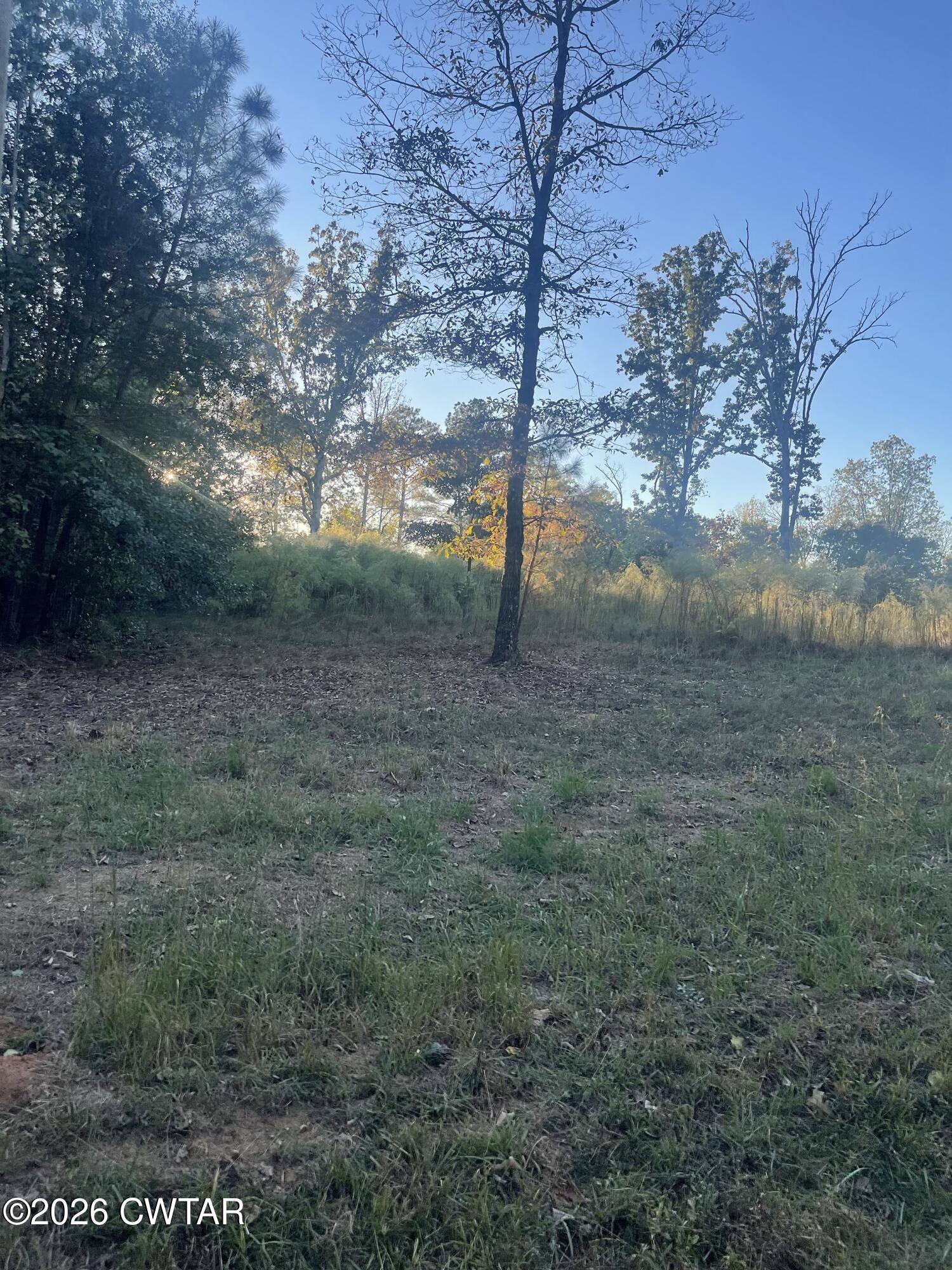 000 Pineview Road