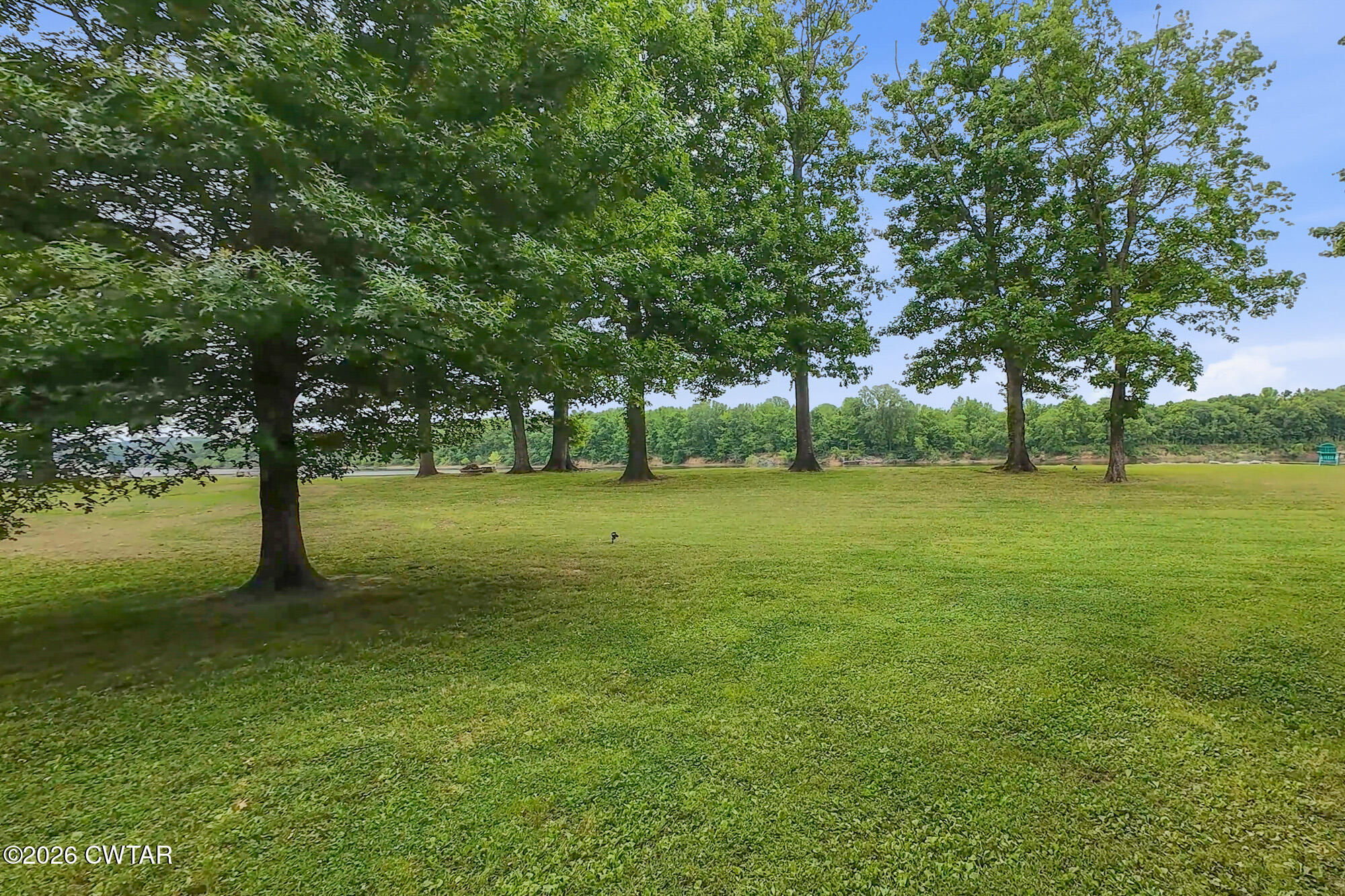 246 Shannon Lane