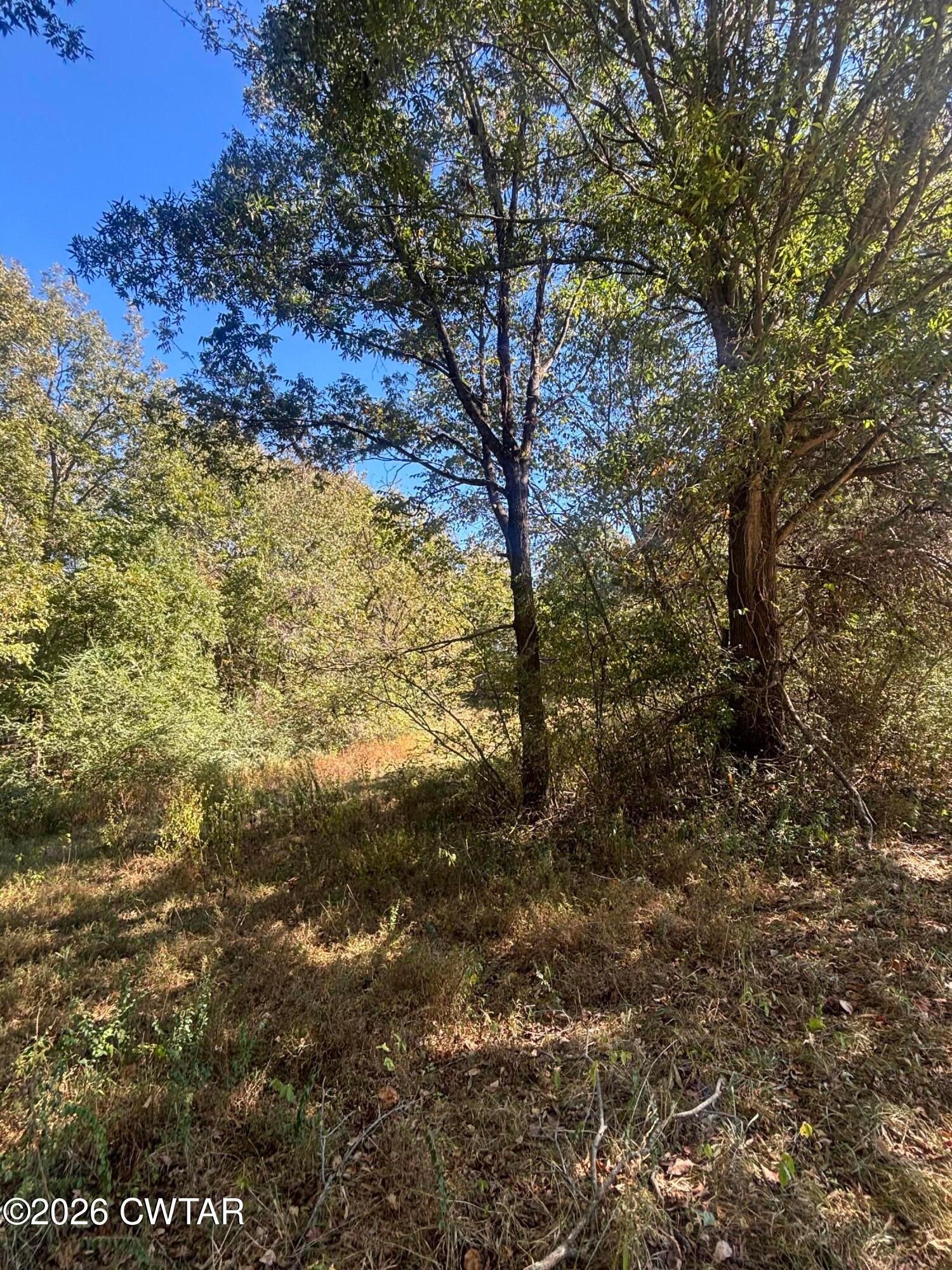 00 Sitka Road