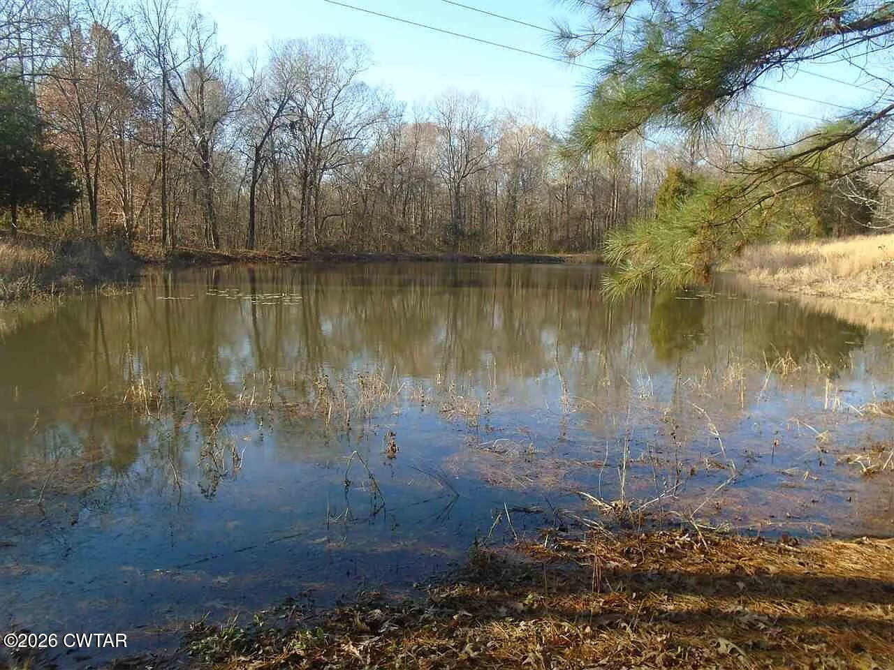 195 Ridge Road