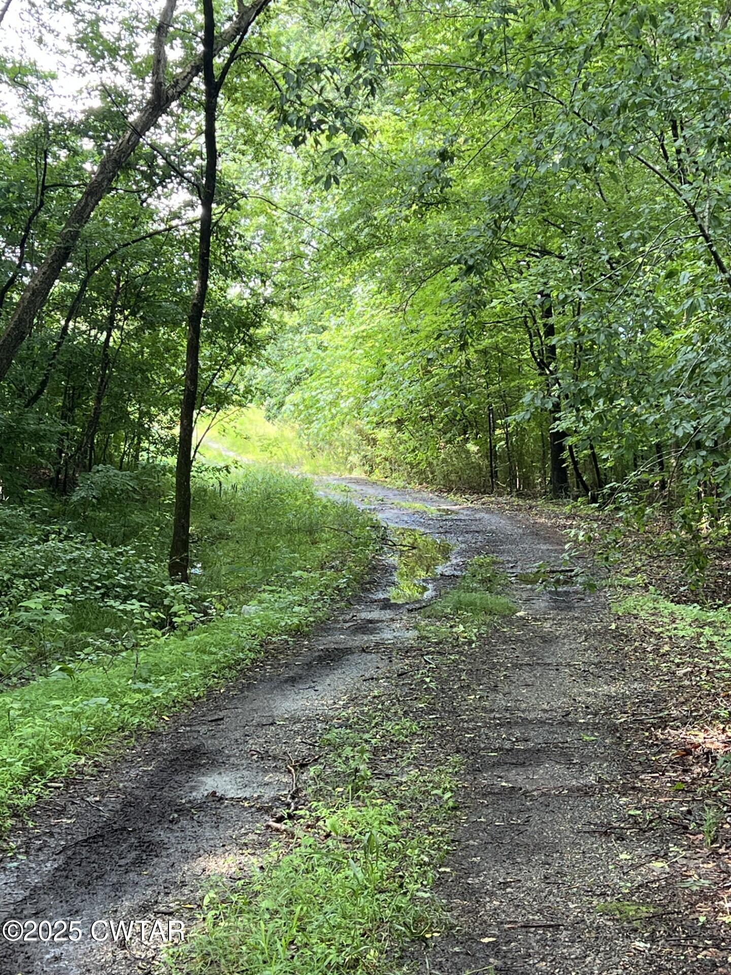 00 Bear Creek (Lot 1) Road