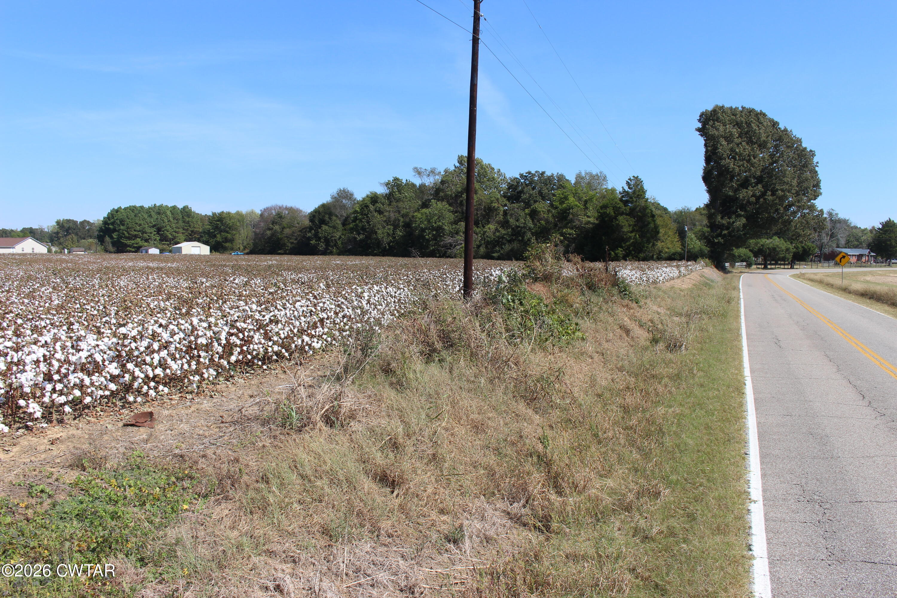 459 Cotton Grove Rd (Tract 12)