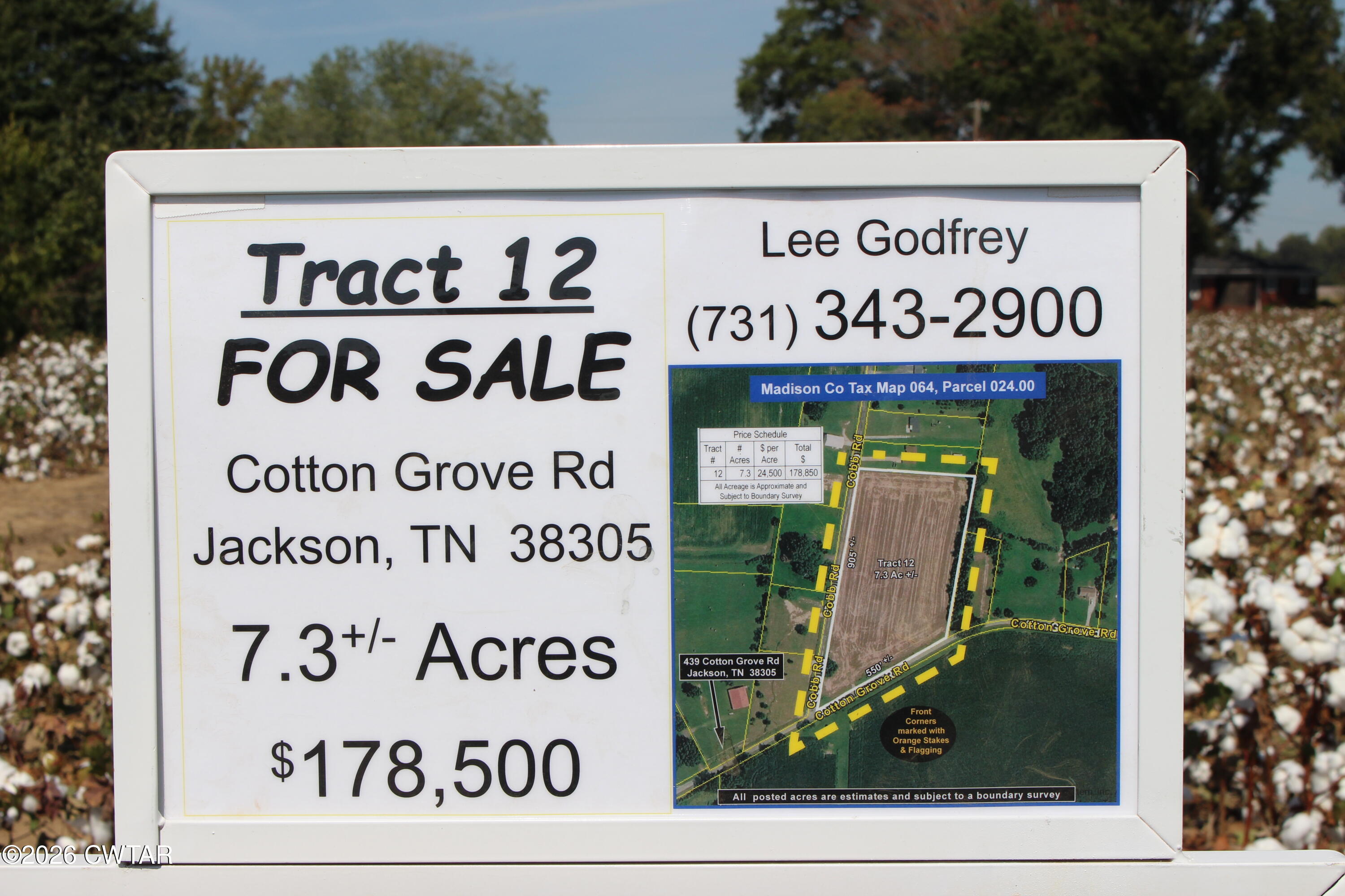459 Cotton Grove Rd (Tract 12)