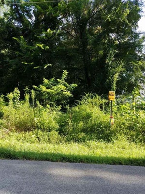 795 HILL AVE, HENDERSON, TN 38340 - Image a79c19d536592ede78b4e2238feec682/396784701