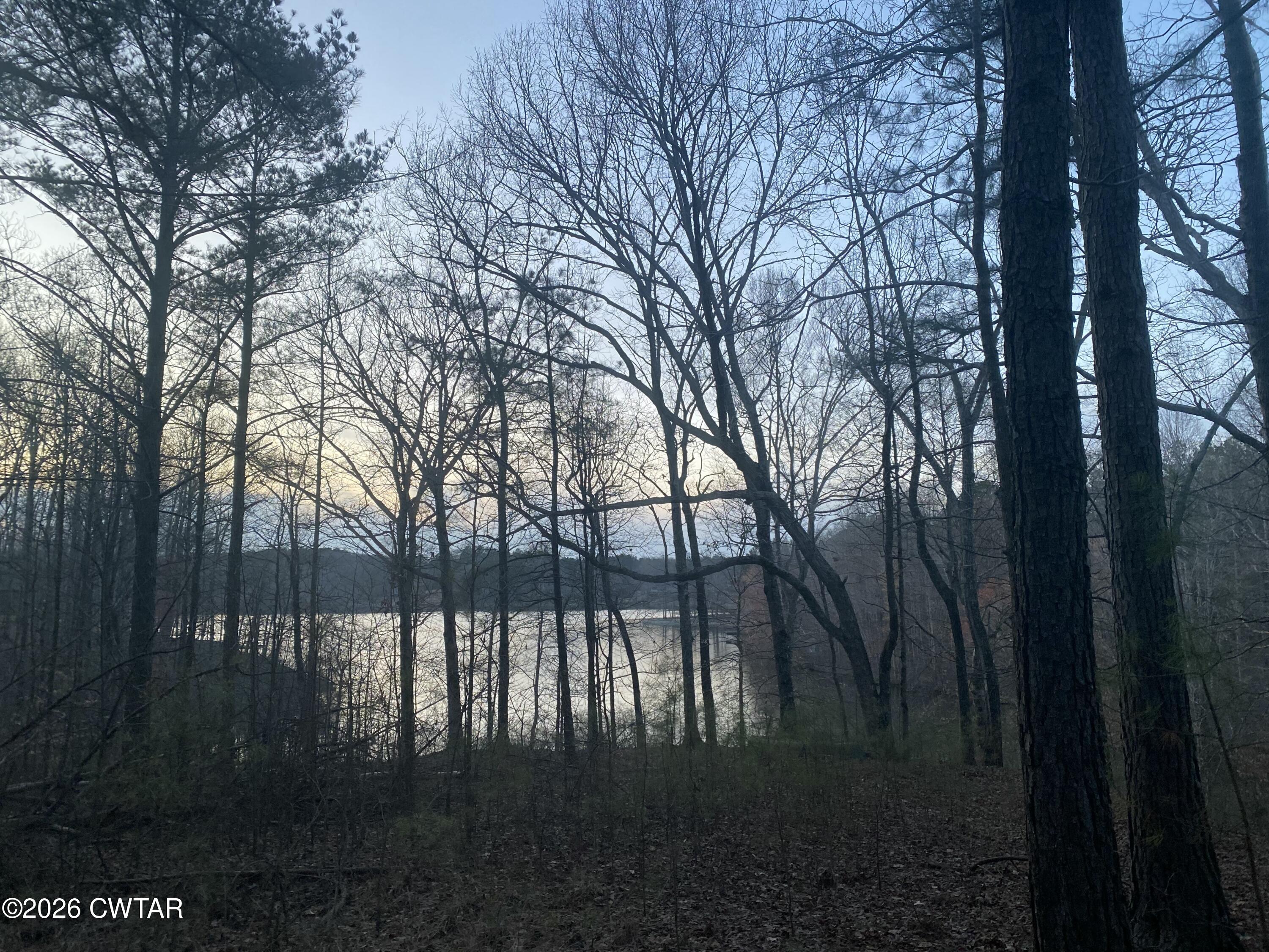 920 Strike King Dr (Lot 164) Drive