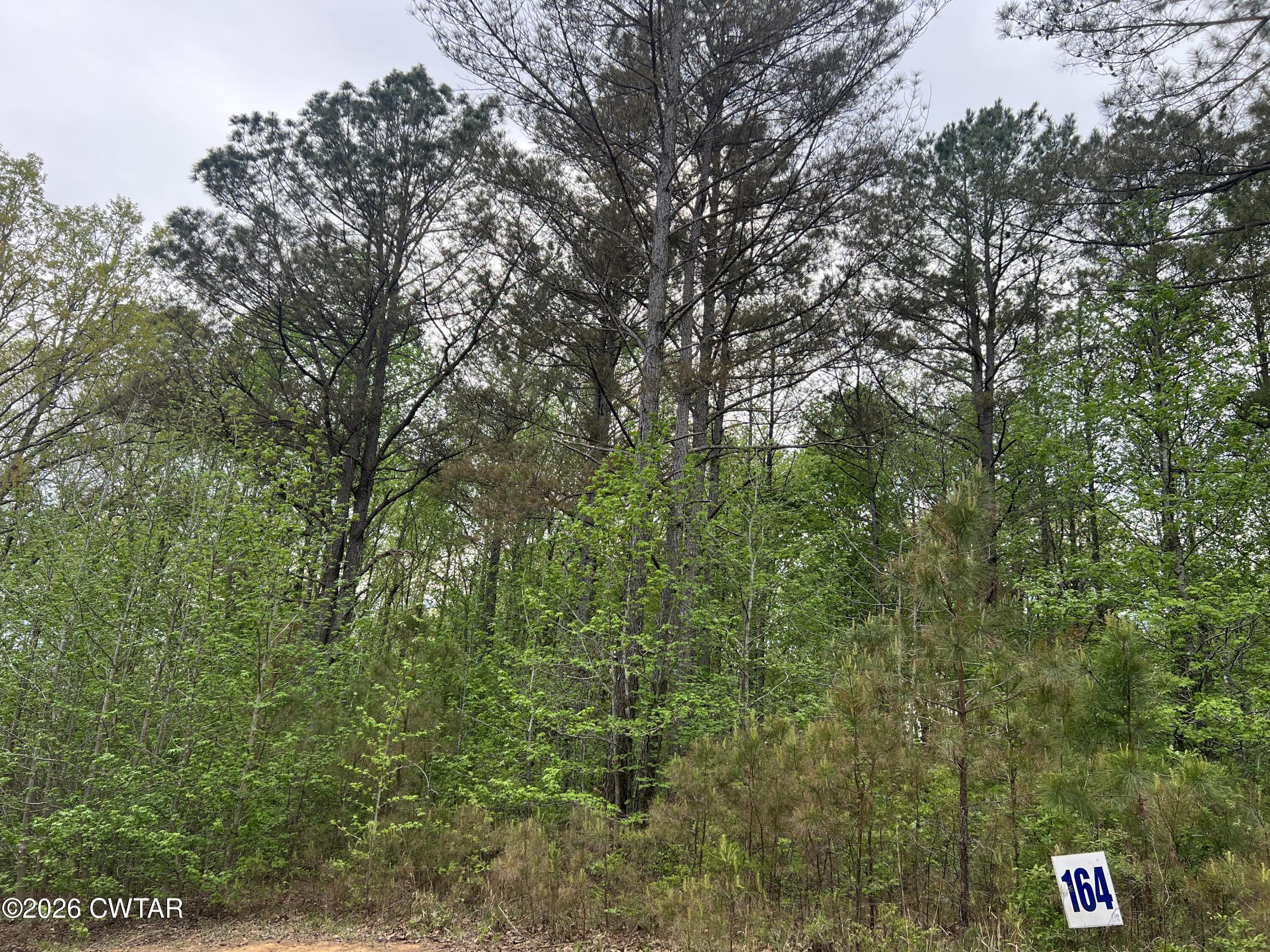 920 Strike King Dr (Lot 164) Drive