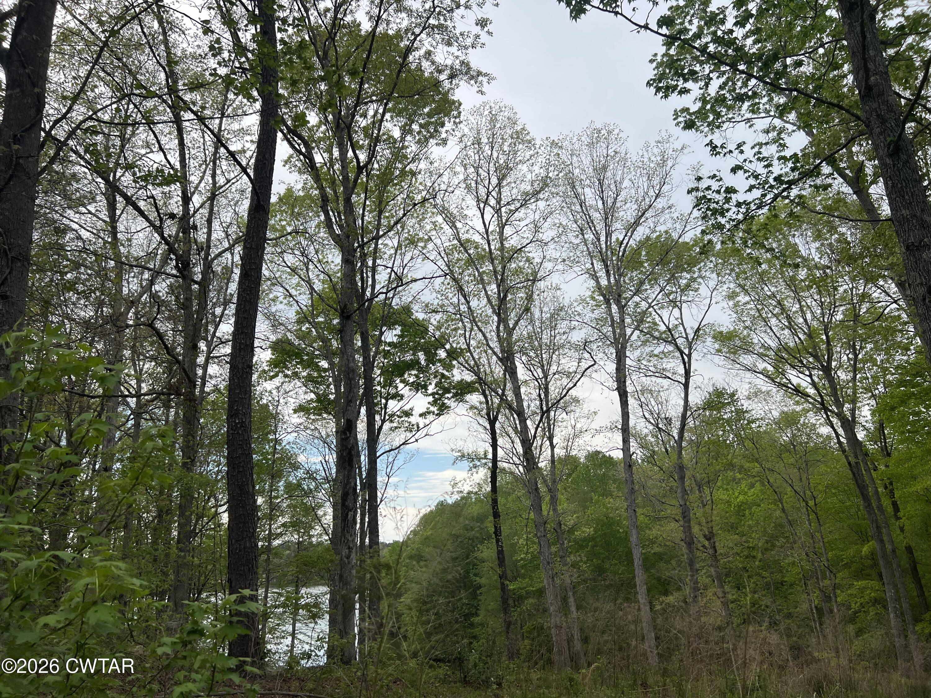 920 Strike King Dr (Lot 164) Drive