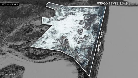 0 Wingo Levee Road Greenfield TN 38230