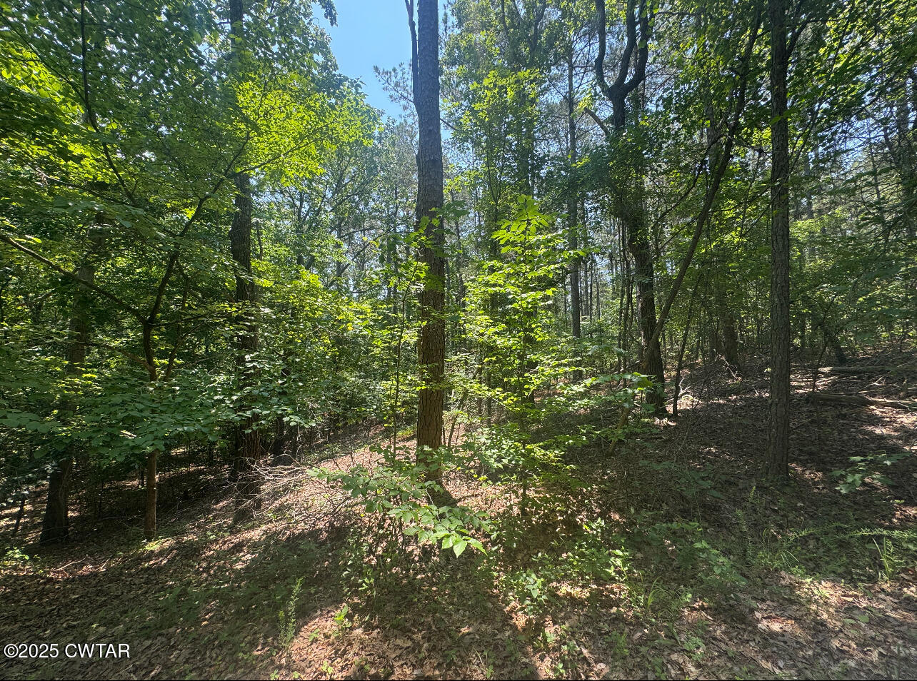 154 Oak Grove Road