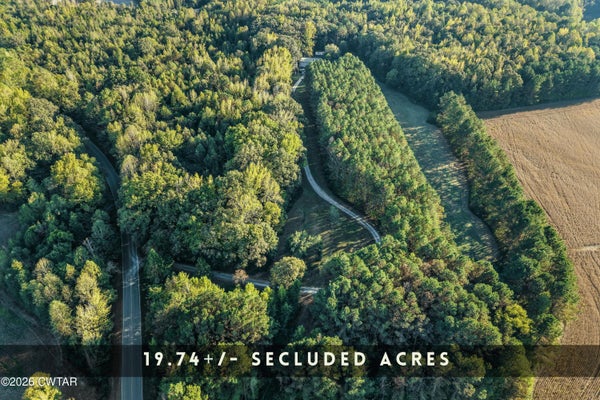 435 LITTLE GROVE RD, LAVINIA, TN 38348 - Image bca93b52fd7274e58af6bbf779749cbf/2973516645
