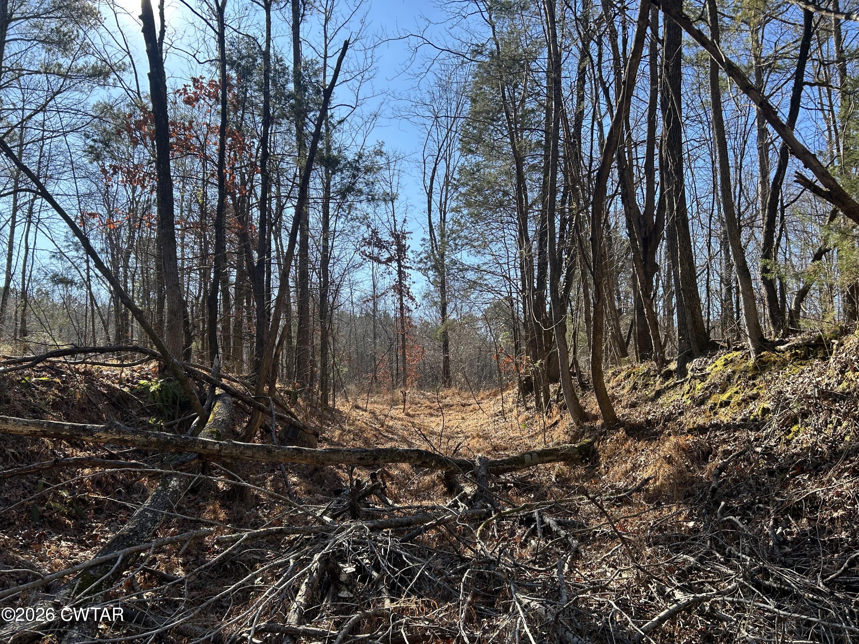 0 Blairs Chapel Road